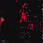 pexels-markusspiske-3970329